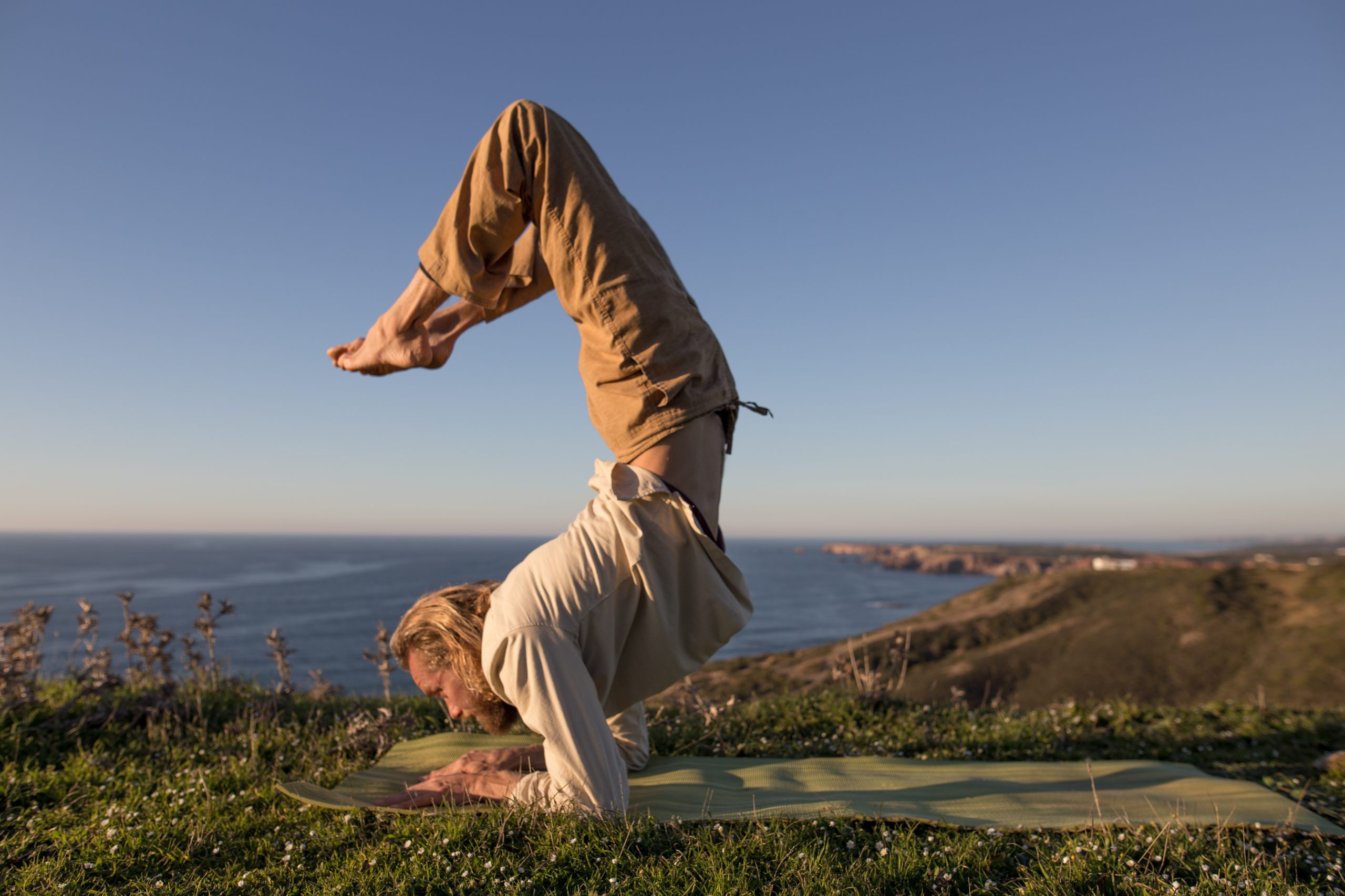 Meditation and calming down the monkey mind